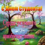 мультфільми