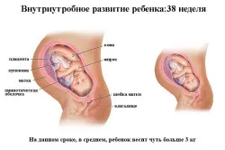перший місяць вагітності болі внизу живота