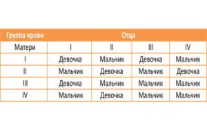 планування статі дитини з оновлення крові батьків