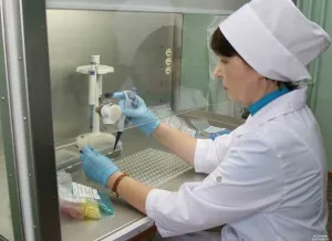 розвиток зародка і плоду під час вагітності