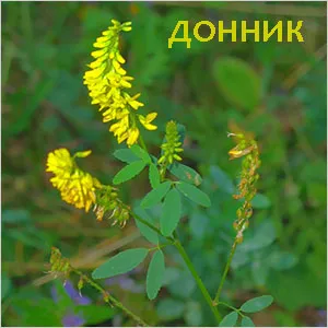 печія при вагітності народні методи