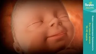 відео, відео як відходять води у вагітних, безкоштовно, дивитися, відеоролики, youtube, ютуб відео як відходять води у вагітних