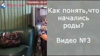 відео, відео як відходять води у вагітних, безкоштовно, дивитися, відеоролики, youtube, ютуб відео як відходять води у вагітних