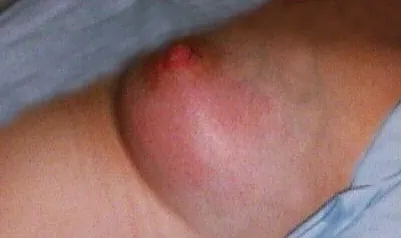 що можна їсти коли годуєш грудьми дитину
