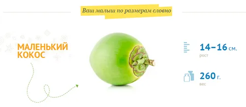 20 тиждень вагітності