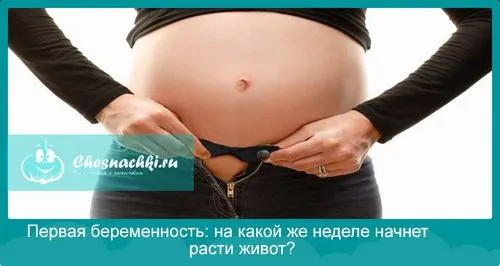 коли починає рости живіт при першій вагітності коли починає рости живіт при першій вагітності