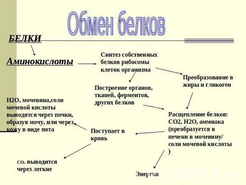 що робити коли низький тиск при вагітності