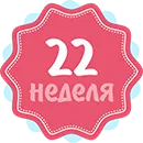 вагітність 22 тиждень