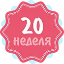 24 тижні вагітності виділення з грудей