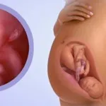 відчуття