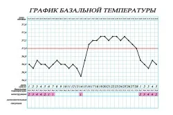 перший по підлозі
