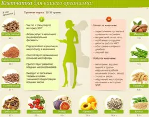 19 тиждень вагітності харчування