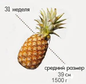 31 тиждень вагітності який це місяць