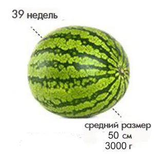 39 тиждень вагітності руху дитини