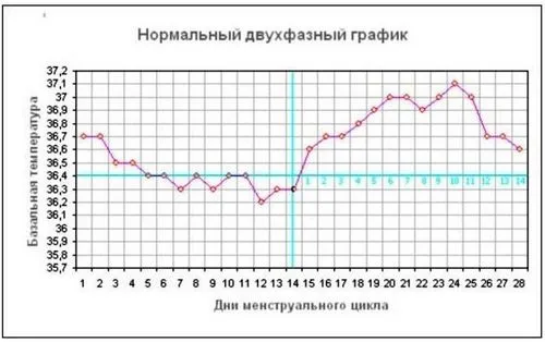 як виглядає графік базальної температури при овуляції