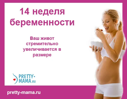 14 тиждень вагітності температура