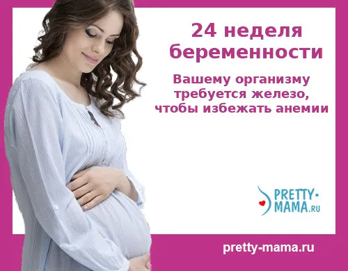 24 тиждень вагітності харчування 24 тиждень вагітності харчування