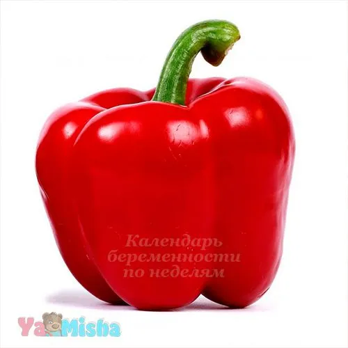24 тижні вагітності виділення з грудей