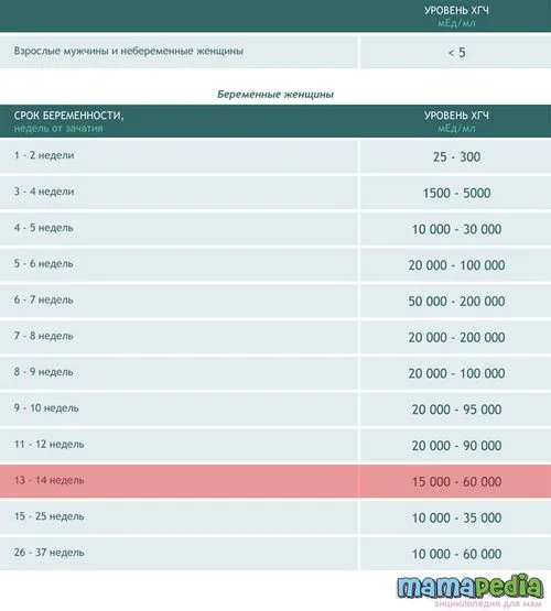 14 тиждень вагітності
