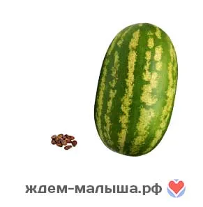 що відбувається в перший тиждень вагітності що відбувається в перший тиждень вагітності