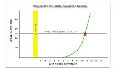 нудота в перші дні вагітності