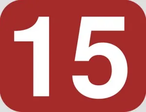 вагітність 15 тижнів руху