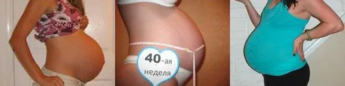 40 тижнів вагітності стб