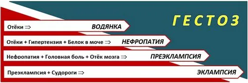 білок в сечі у вагітних норма