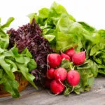 Cum se folosește ulei hidrofil (ulei hidrofil) Cum se utilizează un ulei hidrofil