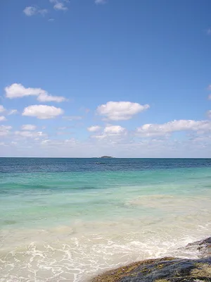 Oceanul de Sud, oceanele lumii
