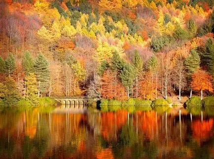 primăvară fenomene naturale, vara, toamna, iarna