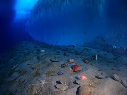 oceanul Antarctic