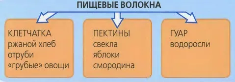 здорове харчування при вагітності