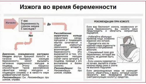 правильне харчування для вагітних правильне харчування для вагітних