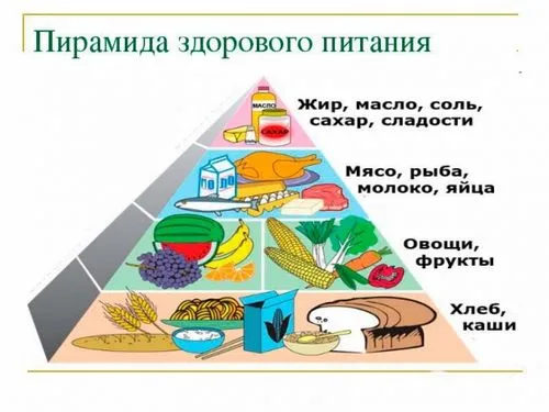 яка годує грудьми