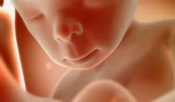 35 тиждень вагітності двійня 35 тиждень вагітності двійня