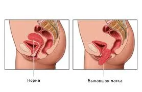 краса і здоров'я