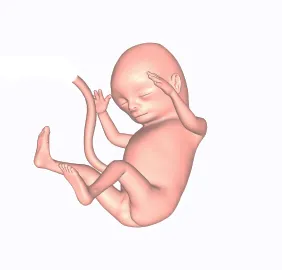 вагітність