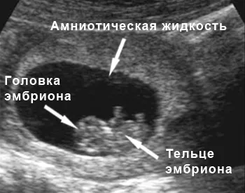 відчуття
