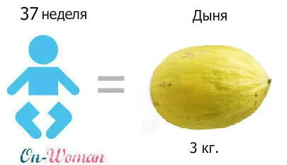 37 тиждень вагітності виділення