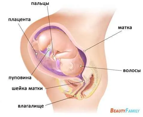 вагітність 39 тиждень ознаки симптоми узі