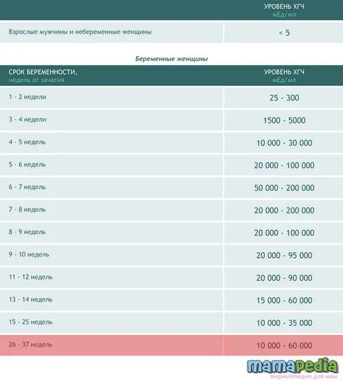 37 тиждень вагітності