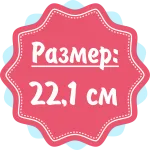 19 тиждень вагітності живіт