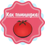 19 тиждень вагітності живіт