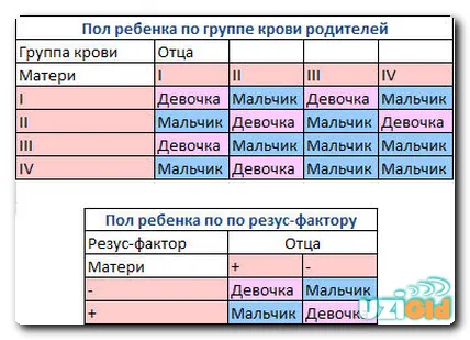 узі вагітних стать дитини