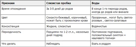 другі пологи провісники