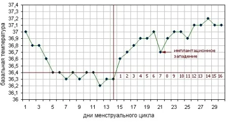 як виглядає графік базальної температури при вагітності