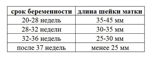 шийка матки під час вагітності норма
