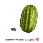 розмір матки на 2 тижні вагітності