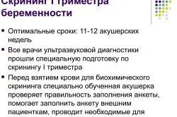 перший по підлозі